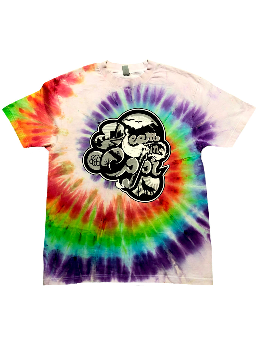 TDC “DREAM IN COLOR” ROYGBIV Spiral Tie Dye T-Shirt – The